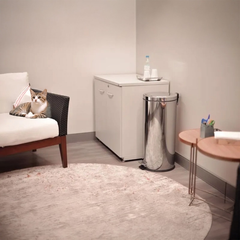 Basurero Pedal 3Lts Dulox By Tramontina / Bcpt-103