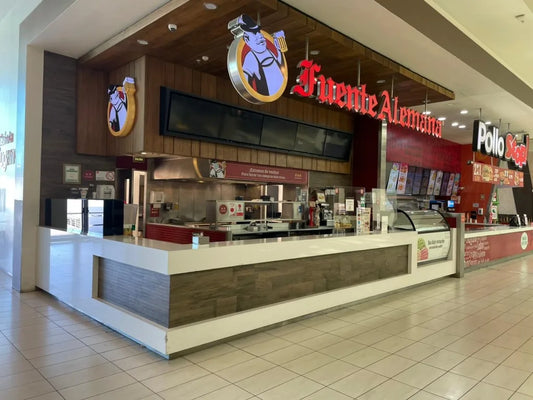 PROYECTO FUENTE ALEMANA CONCEPCIÓN