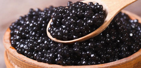 IMPLEMENTACIÓN PLANTA DE CAVIAR PARA ACUÍCOLA ALAS